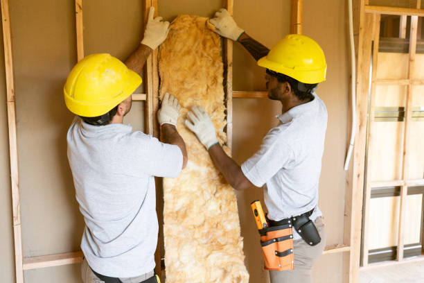 Best Energy-efficient Insulation  in Durham, NC
